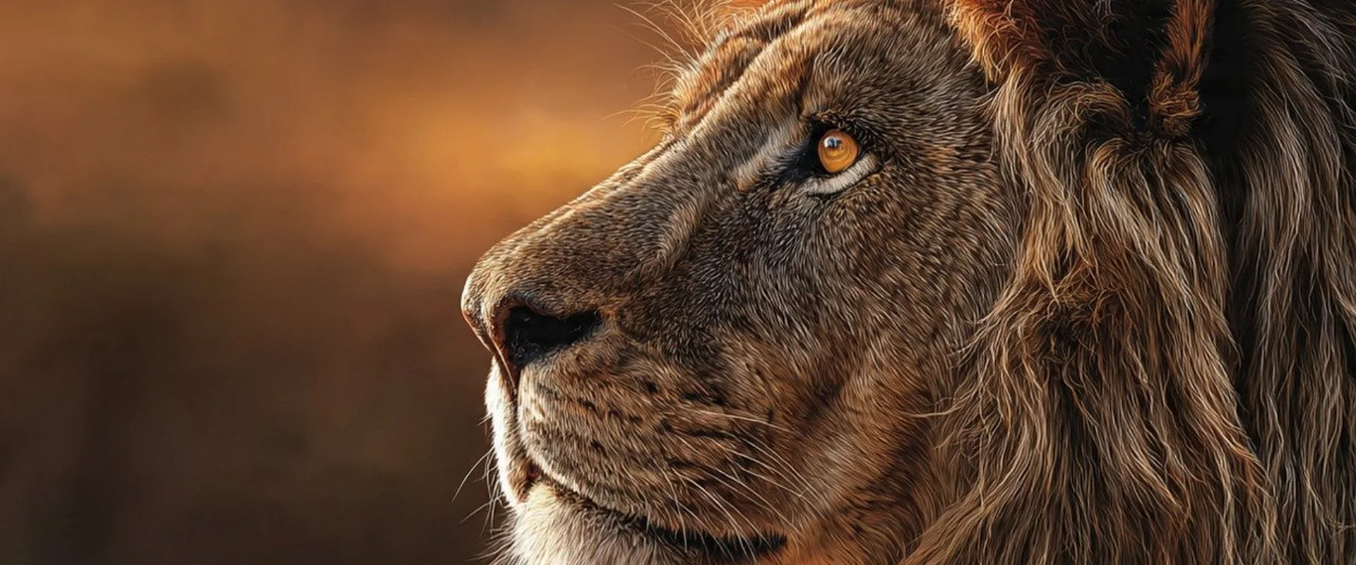 开元棋牌PG电子